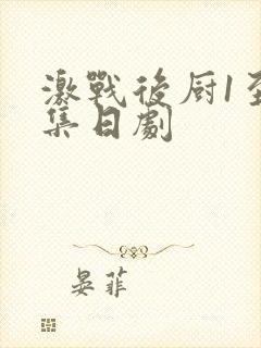 激战后厨1至5集日剧