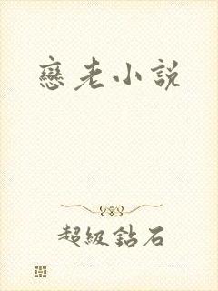 恋老小说