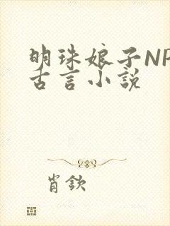 明珠娘子NPC古言小说封面