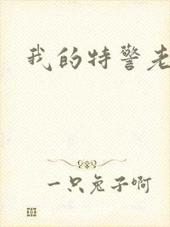 我的特警老婆封面