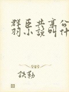 群臣共享公主银羽小说叫什么