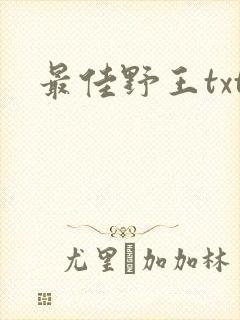 最佳野王txt封面