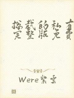 总裁的私有宝贝完整版免费阅读