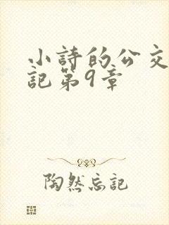 小诗的公交车日记第9章