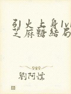 引火上身1v1芝麻糖结局封面