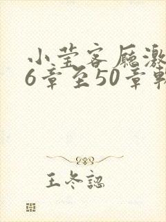 小莹客厅激情46章至50章软件介绍