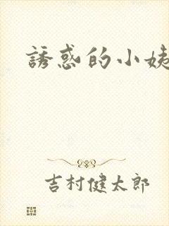 诱惑的小姨封面