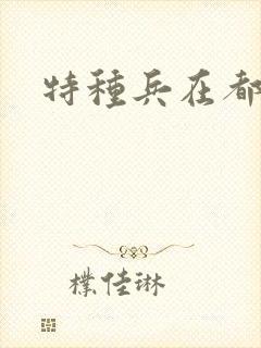 特种兵在都市