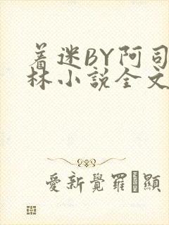 着迷BY阿司匹林小说全文免费阅读