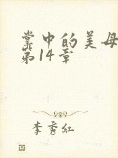 掌中的美母版主第14章