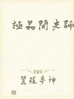 极品开光师封面