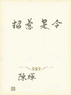 招惹 是今