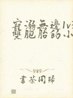 宠溺无边1v3双胞胎的小说封面