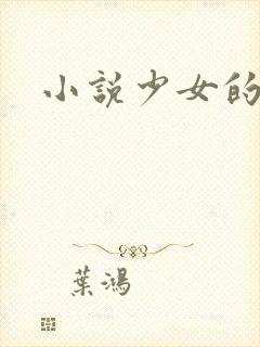 小说少女的心