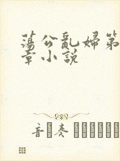 荡公乱妇第51章小说