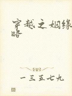 穿越之姻缘劫攻略封面