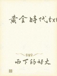 黄金时代txt封面