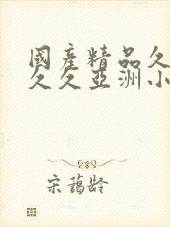 国产精品久久久久久亚洲小说