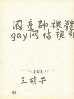 国产帅裸体男模gay网站视频