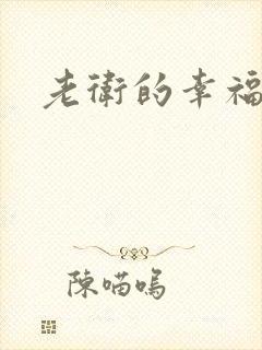 老卫的幸福生活封面