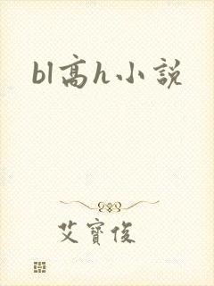bl高h小说封面