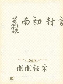 叶南初 封言小说