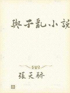 与子乱小说