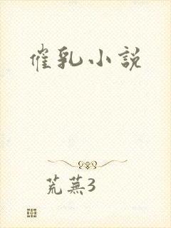 催乳小说封面