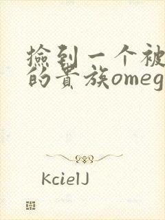 捡到一个被抹布的贵族omega