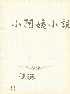 小阿姨小说封面