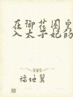 在御花园皇上进入太子妃的小说封面