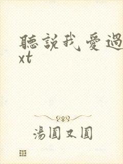 听说我爱过你txt封面