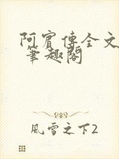 阿宾传全文阅读 笔趣阁