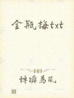 金瓶梅txt封面