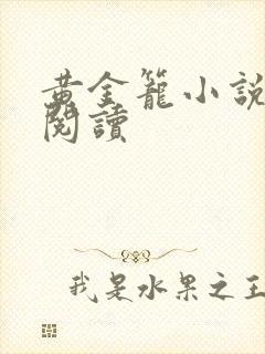 黄金笼小说免费阅读封面