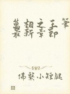 万相之王笔趣阁最新章节