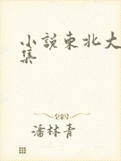 小说东北大炕全集