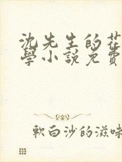 沈先生的花式教学小说免费