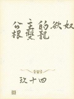 公主的欲奴h四根双龙