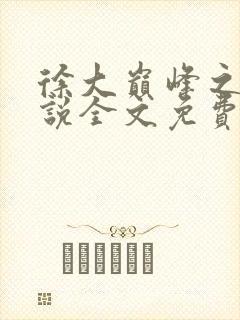 徐大巅峰之路小说全文免费阅读