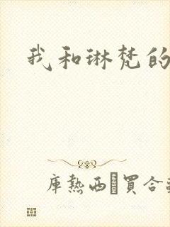 我和琳梵的故事