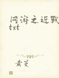 网游之近战法师txt封面