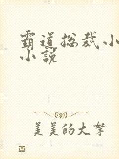 霸道总裁小娇妻小说