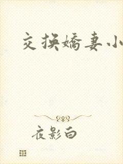 交换娇妻小说