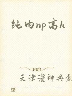 纯肉np高h