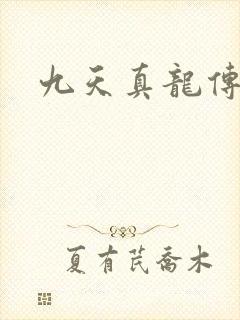 九天真龙传封面