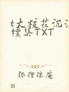t大校花沉浮录续集TXT封面