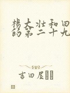杨大壮和田桂花的第二十九