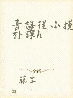 青梅从小摸到大补课h封面