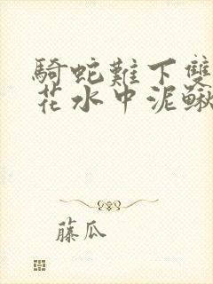 骑蛇难下双金银花水中泥鳅